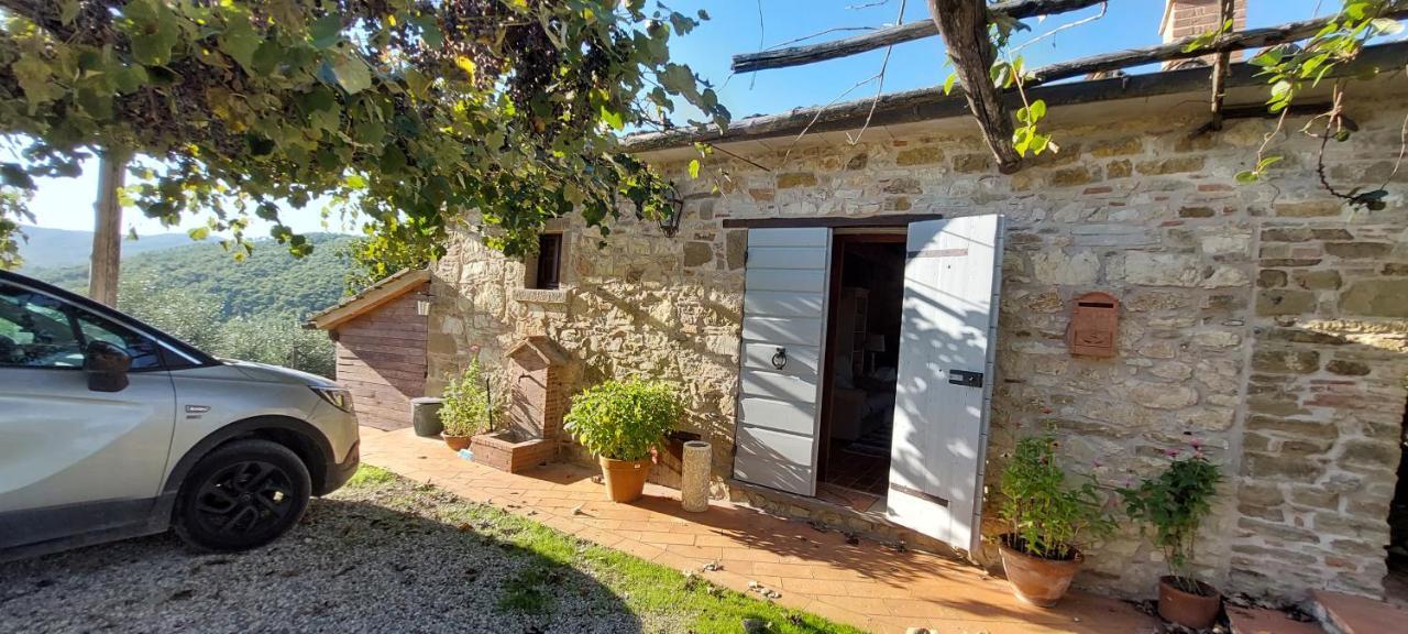 Farm stay Agriturismo La Scarpaia *