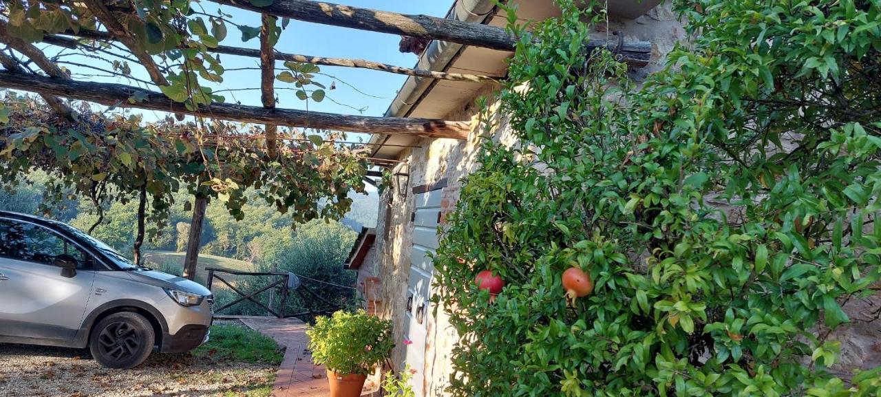 Agriturismo La Scarpaia