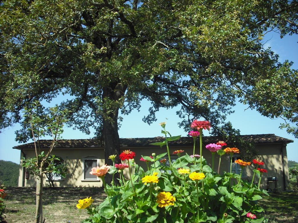 Farm stay Agriturismo La Scarpaia Anghiari