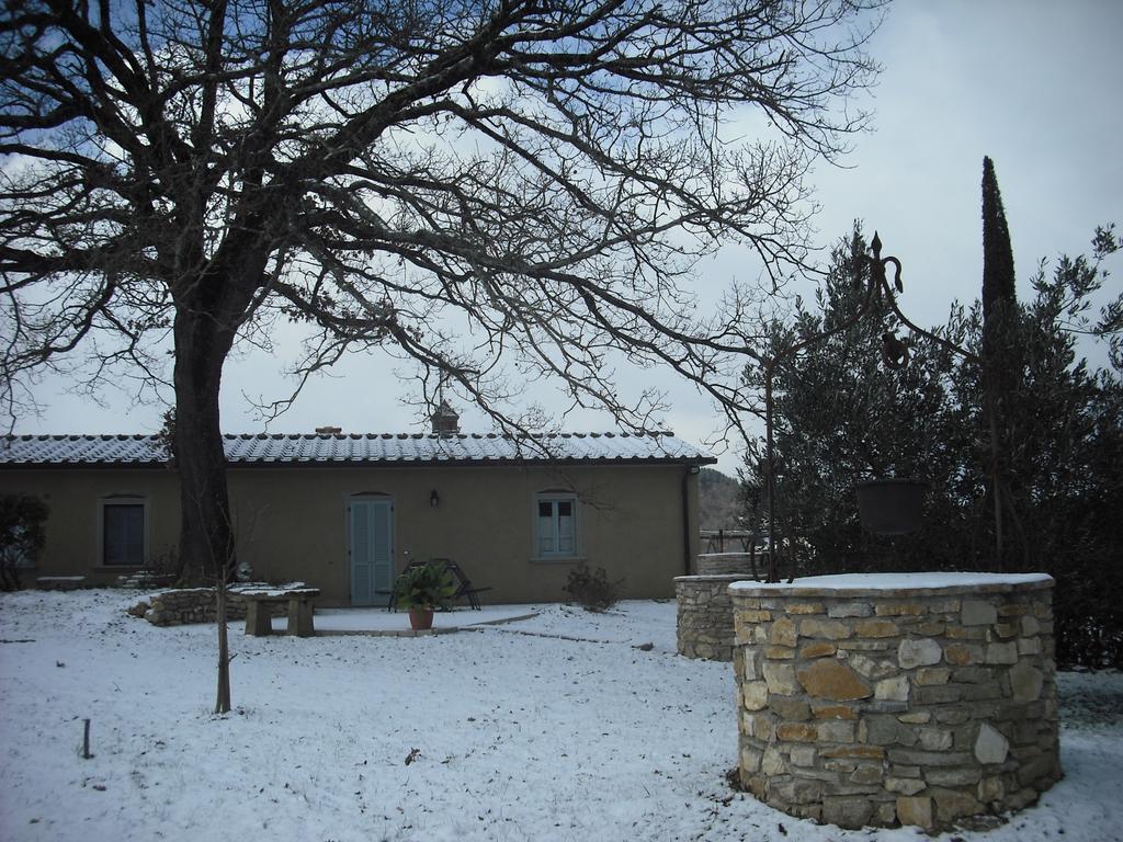Agriturismo La Scarpaia