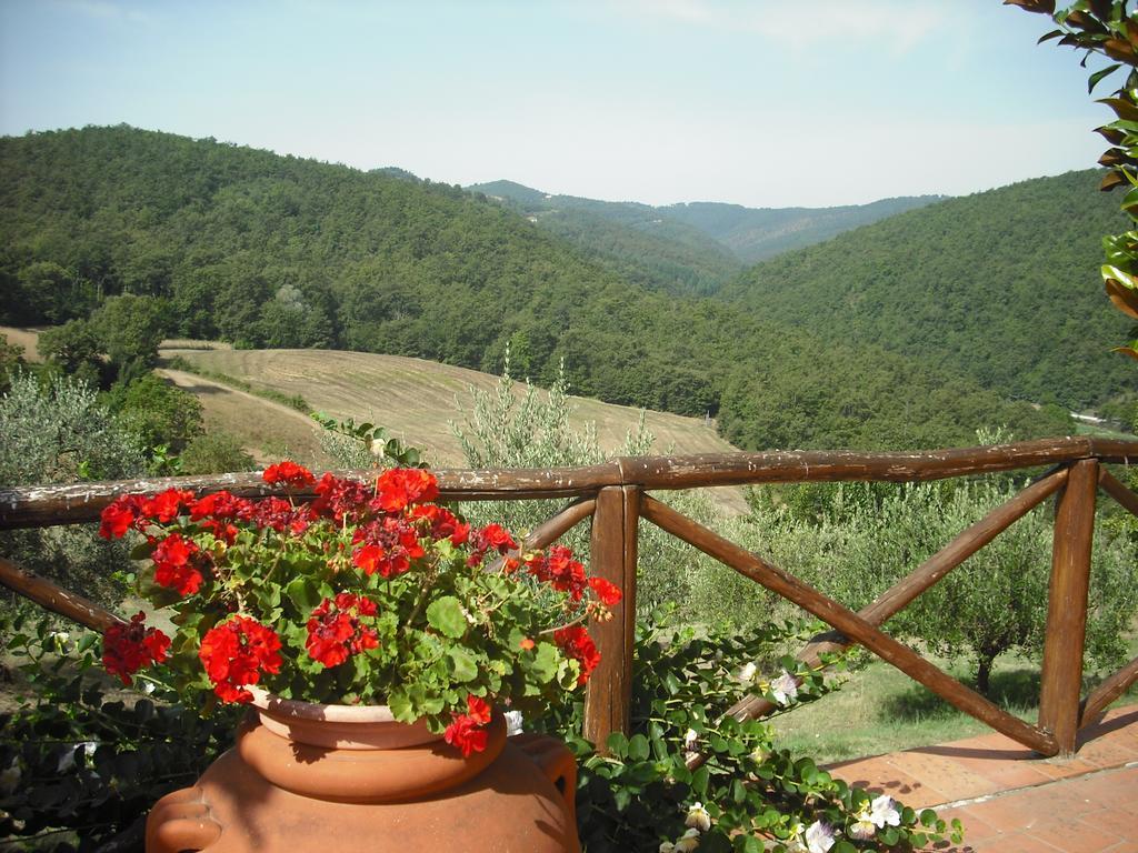 Agriturismo La Scarpaia