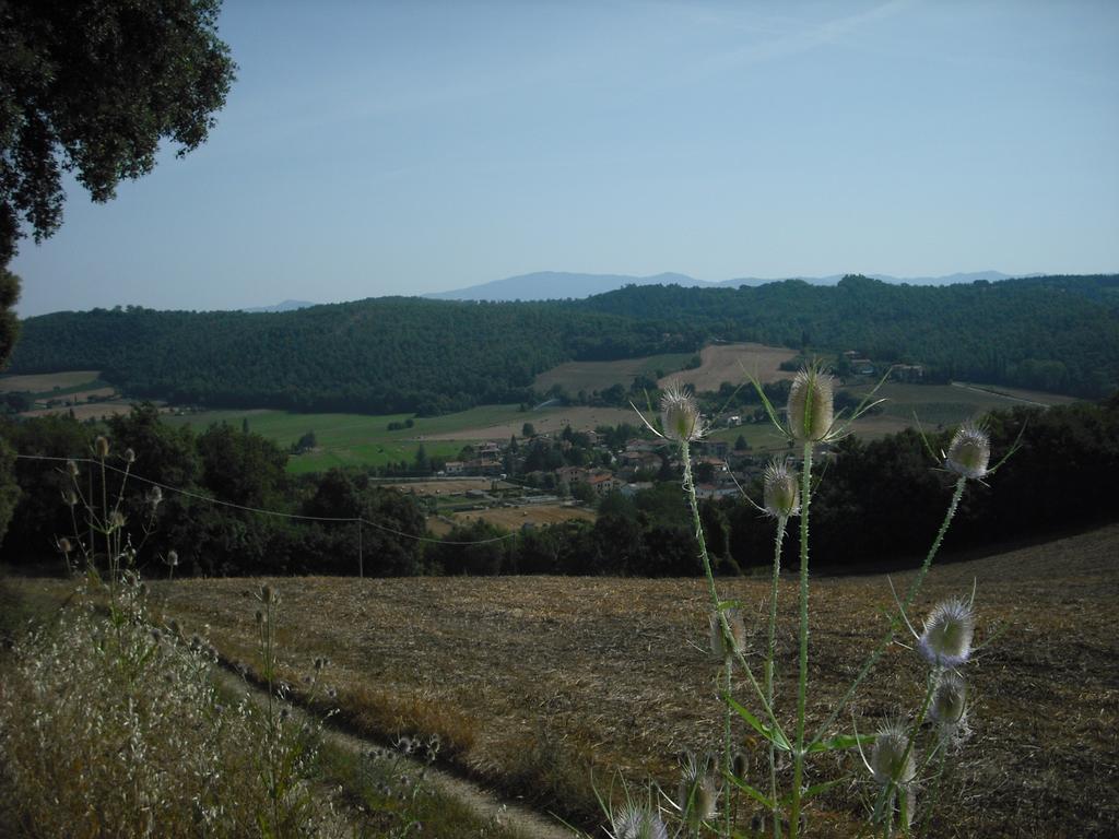 Agriturismo La Scarpaia Anghiari
