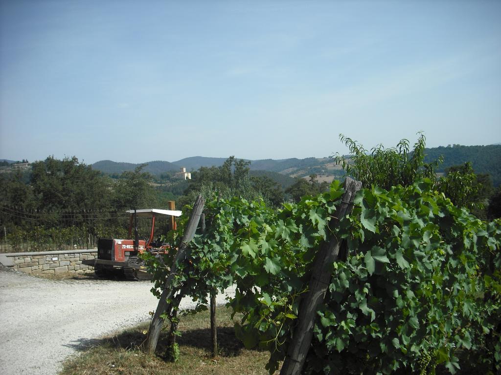 Farm stay Agriturismo La Scarpaia