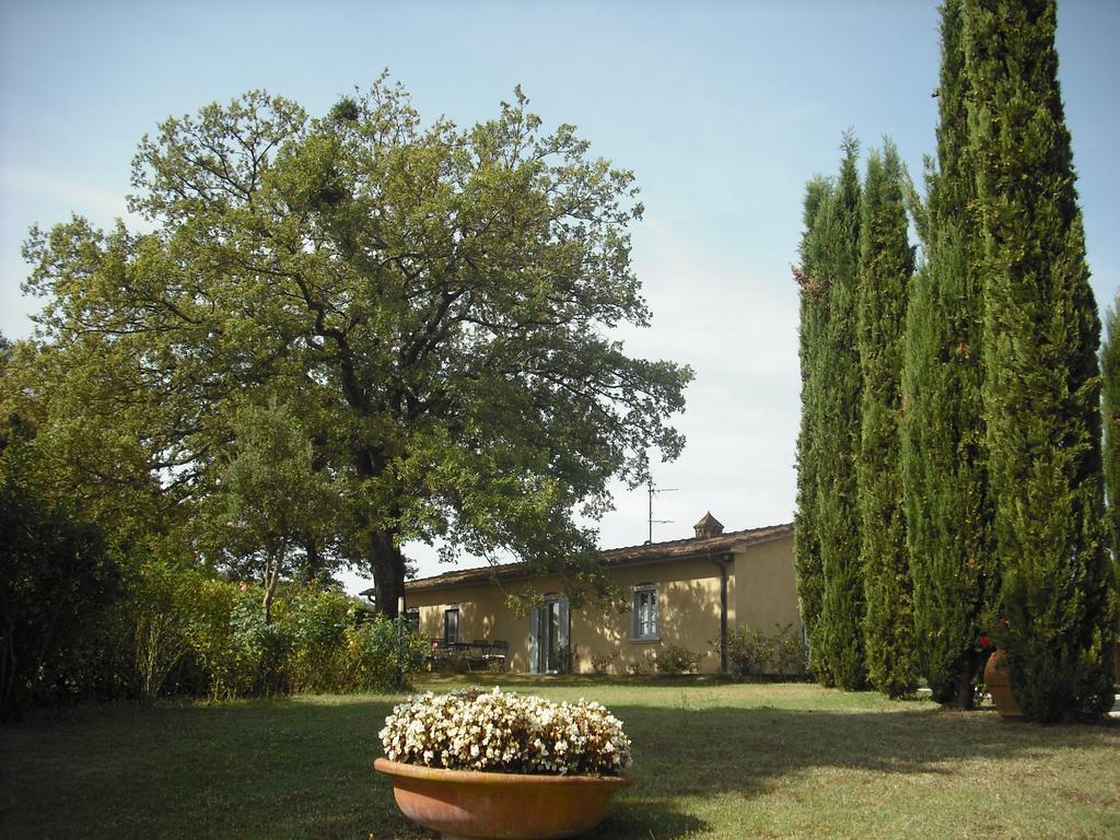 Farm stay Agriturismo La Scarpaia Anghiari