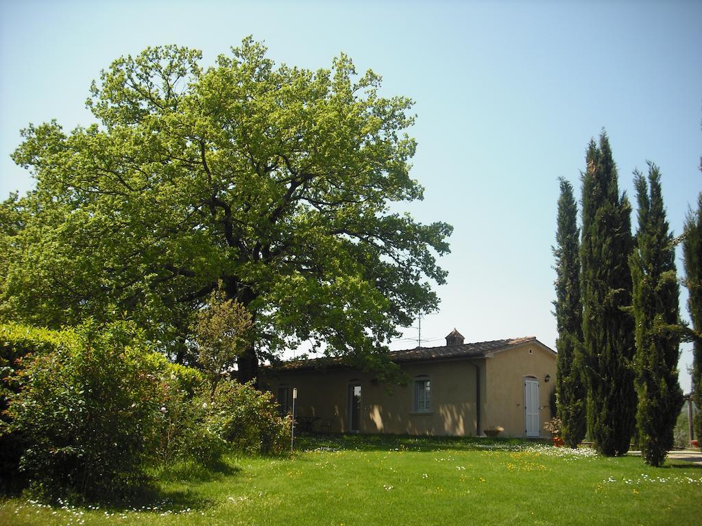 Farm stay Agriturismo La Scarpaia