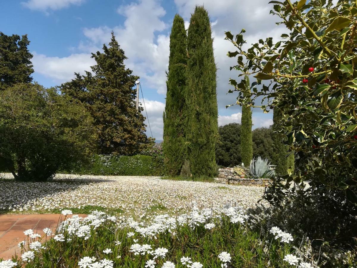 Farm stay Agriturismo La Scarpaia Anghiari