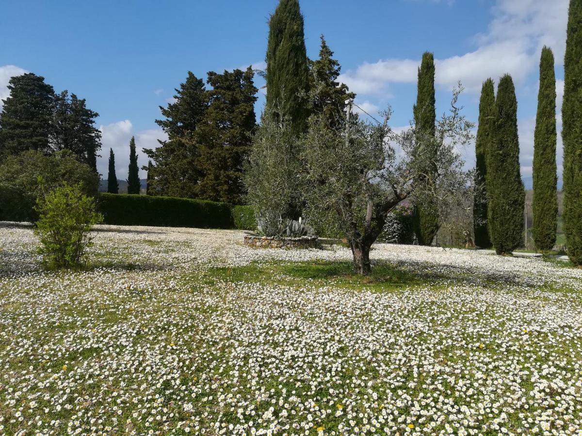 Agriturismo La Scarpaia Farm stay
