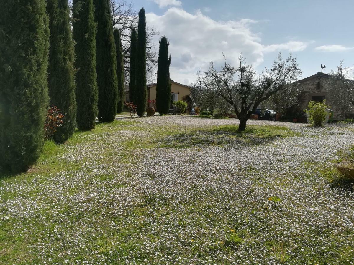 Agriturismo La Scarpaia Farm stay *