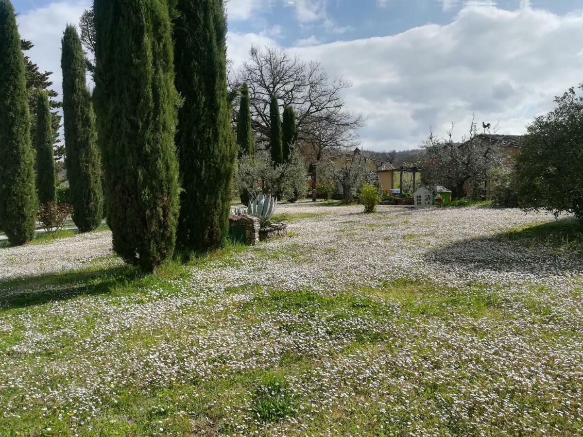 Agriturismo La Scarpaia Farm stay