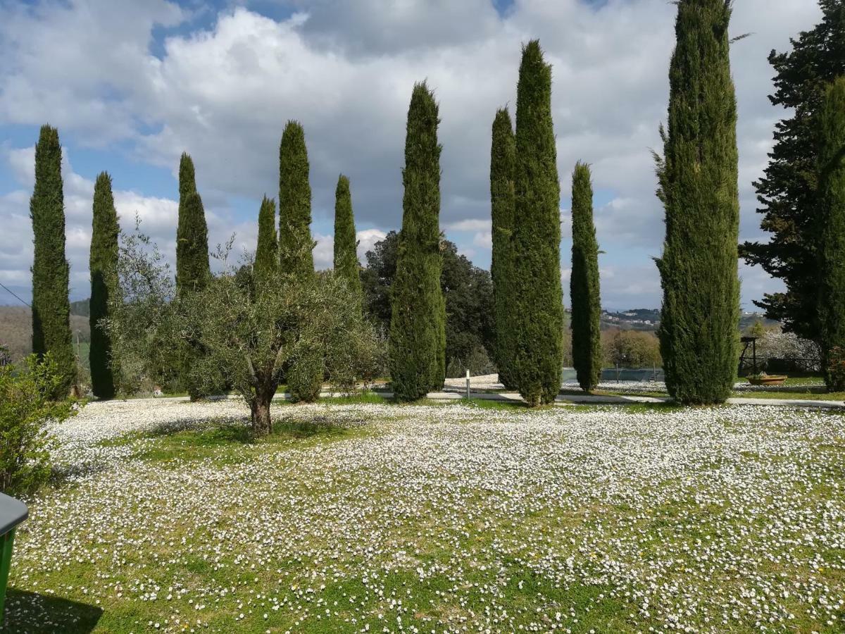 Agriturismo La Scarpaia Farm stay *