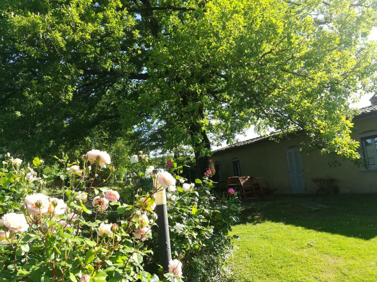 Agriturismo La Scarpaia * Anghiari