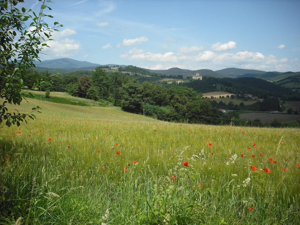 Alojamento de Turismo Rural La Scarpaia