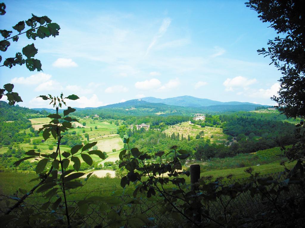 La Scarpaia Anghiari