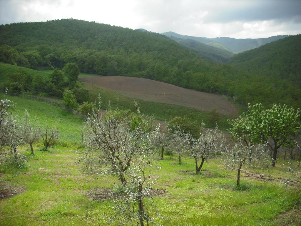 Alojamento de Turismo Rural La Scarpaia *